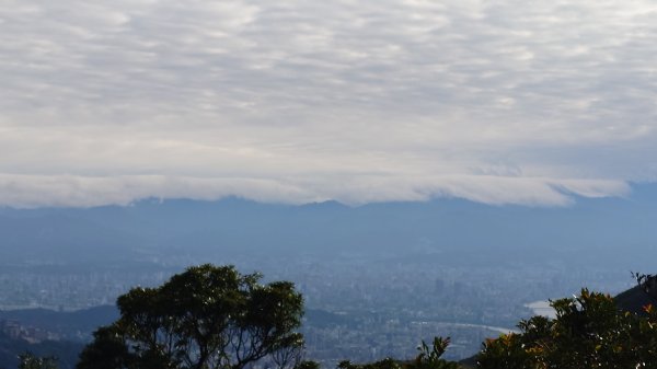 20260125 陽明山前後山健行(無極天元宮~山仔頂步道.向天池.向天山.面天山.二子坪)2998067