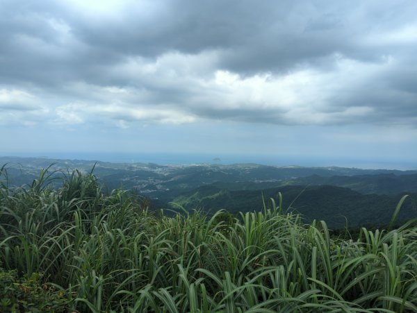2026.07.18－姜子寮山3088002