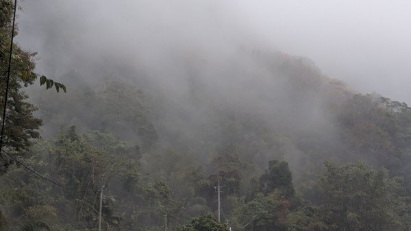 橫龍山、橫龍古道2682949