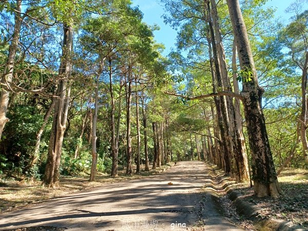 【台中太平】山頂好視野。 No43小百岳三汀山 (咬人狗坑登山步道)2429817