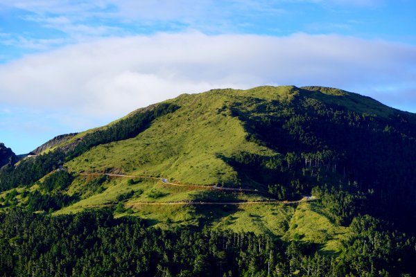 鳥山。不鳥 ~ 合歡西峰439625