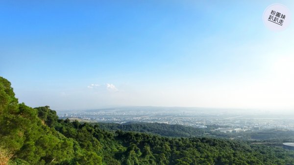 【台中南屯大肚】望高寮夜景公園、觀景廊道442230