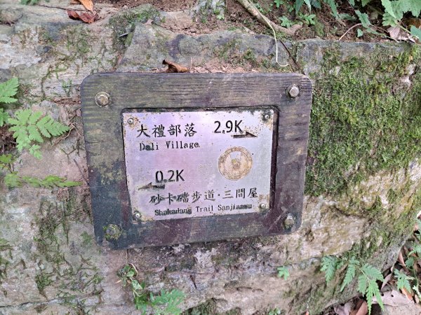 砂卡礑二日行D2：大同部落→千里眼山→砂卡礑步道→小錐麓步道→遊客中心202312032368725