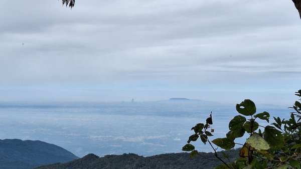 20251130西大武山2952279