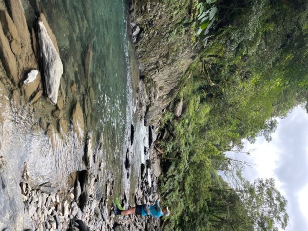 烏來西坑林道/探勘派出護管所彈藥庫遺址至獅坑橋2576292