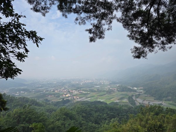 美濃雙溪樹木園（九芎林山）2652561