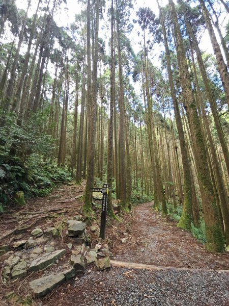 橫嶺山步道 - 2024年最有意義的山2653694