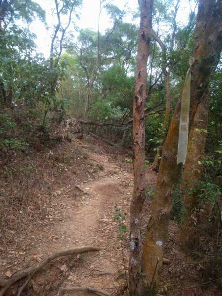 小百岳：笠頂山1295315