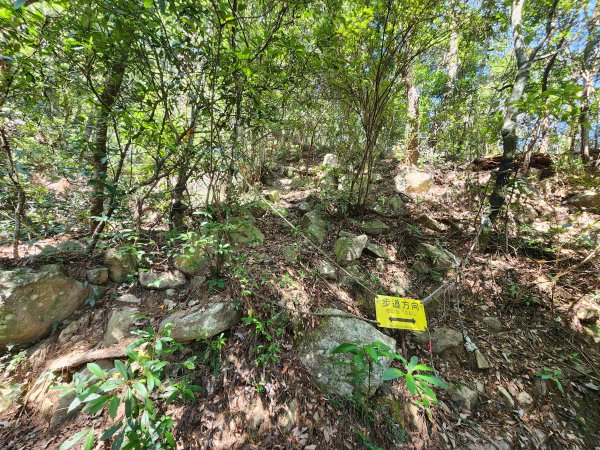 20241013東南稜上東卯山2671003