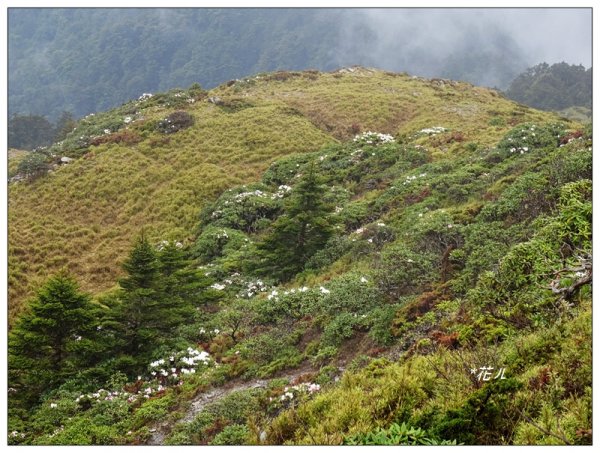合歡石門山步道907853