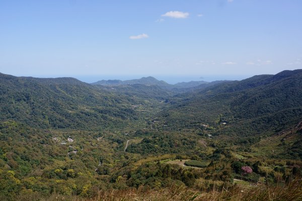 風擎步道(風櫃嘴至擎天崗)2059149