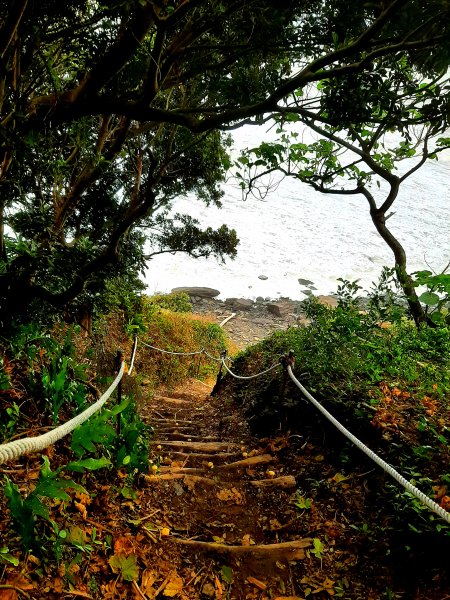 琅嶠卑南古道2700535