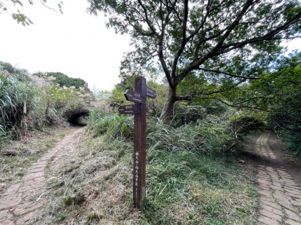 二子坪—面天山—向天山—清天宮2331906