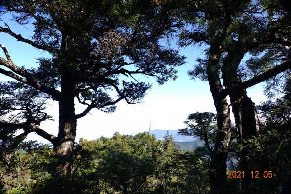 苗栗 泰安 榛山步道、榛山1540278