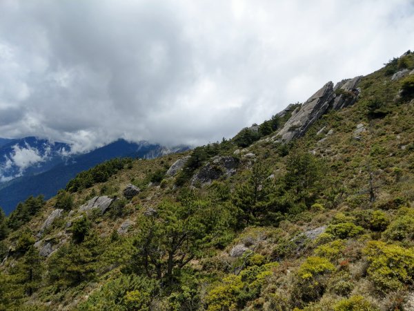 高雄/花蓮/台東-嘉明湖-向陽山-三叉山3053719