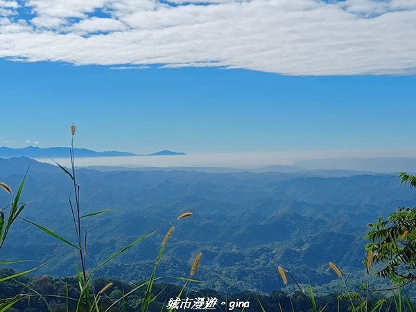 【台中北屯】台灣百大必訪步道。 全台少見的圓木步道。 大坑四號步道 ( 小百岳頭嵙山)1958332