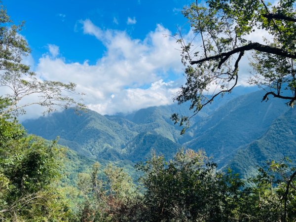 1140824司馬庫斯觀霸步道-賞楓步道2871105