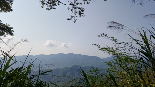 西阿里關山3033631