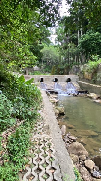 20250706-EP.08四寮溪生態步道-2025森遊竹縣皮皮獅探險隊2851867