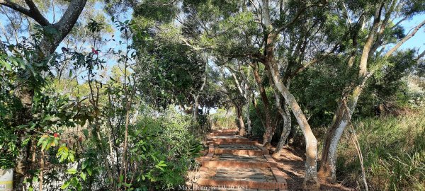 《台中》短暫暖陽｜龍井竹坑南寮步道O繞202601042976433