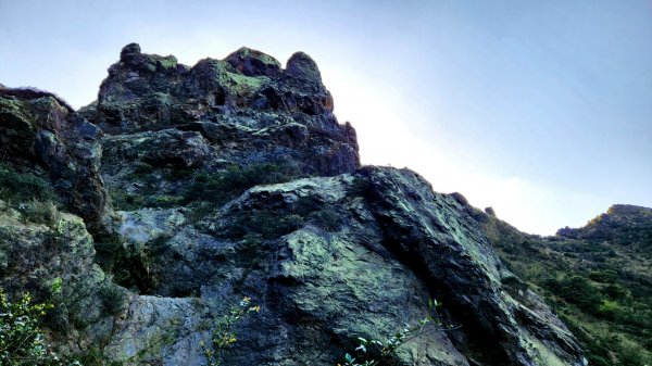 瑞芳黃金洞，煙囪山（稜），復興山，哈巴狗岩，二沙灣砲台（海門天險），龍頭山2056053