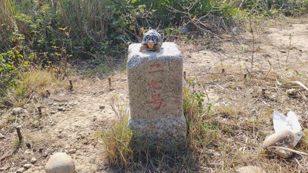 [苗栗]白虎縱走 | 白沙屯 - 通霄2737057