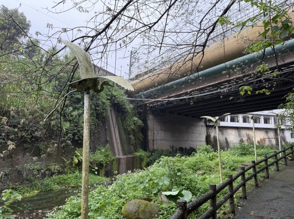 [樟之細路_第一大段RSA01] 2026_0329 清水坑溪景觀3026601