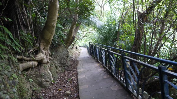 和美山登山健行趣（郊山）1587780