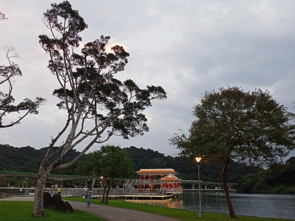 動靜皆宜的大湖公園【走路趣尋寶】1915556