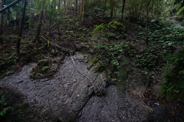 向天湖山、光天高山O型1946610