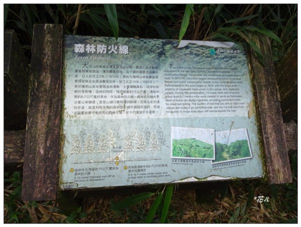 大屯主峰步道(小百岳)2384974