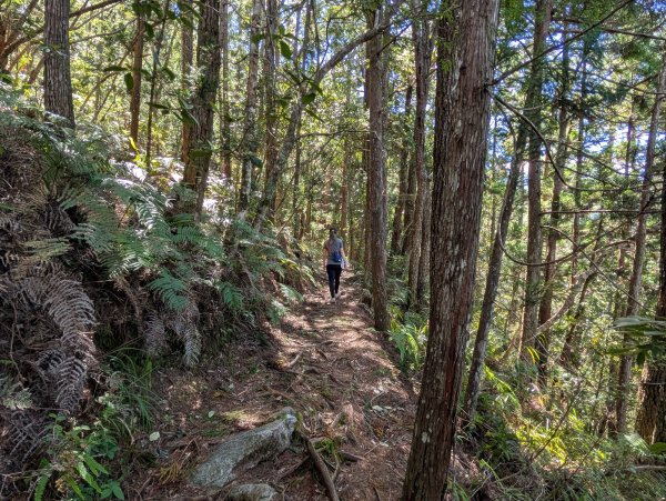 孕婦第一次的谷關七雄馬崙山2991623