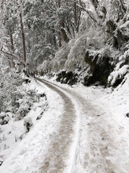 2018.02 - 見晴懷古步道賞雪趣263483