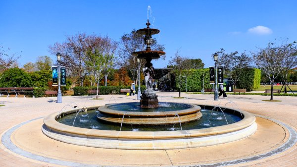 琴弦上的白宮2987563