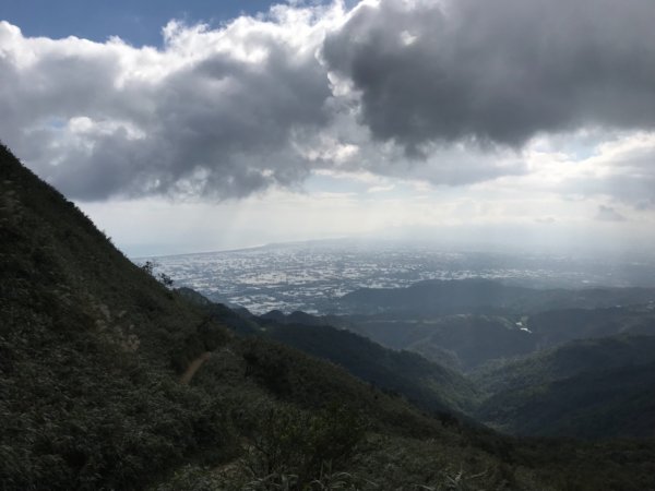 宜蘭抹茶山774443