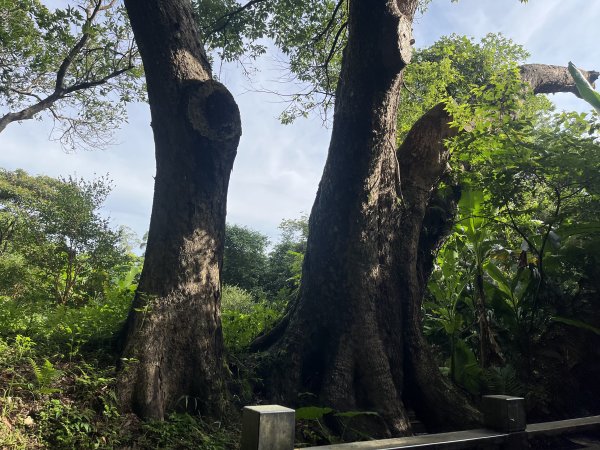 [皮皮獅探險隊-01/10] 2025_0706 六寮古道封面