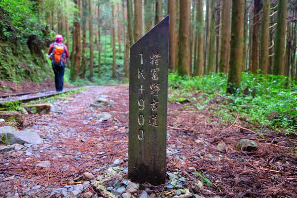 迷霧幽幽~特富野古道691936