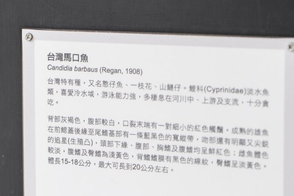 瀑布、溪流、壺穴、鐵道、貓村、採礦史｜三貂嶺越嶺猴硐1769529