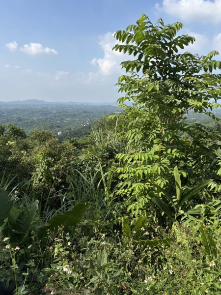 20251010南化龍麟山步道2914977