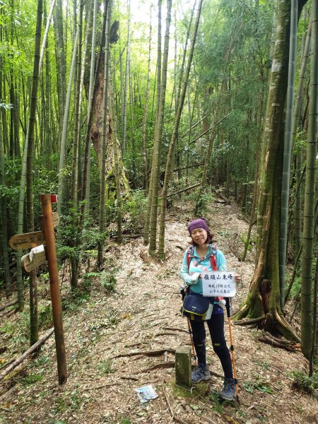 20190827-忘憂森林金柑樹嶺頭山663015