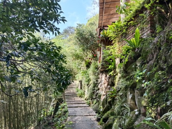 士林區礁坑橋+平溪步道+鵝尾山水田步道+大坪尾山+平菁步道O型2995891