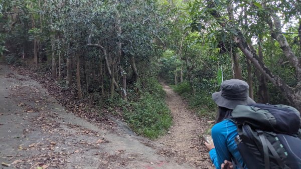 【屏步青雲】屏東山旅~棚集山2650587