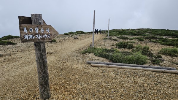 240810-藏王西端連峰熊野岳、馬之背、五色岳（御釜）、刈田岳縱走。美美兔第一次海外走山。2603739