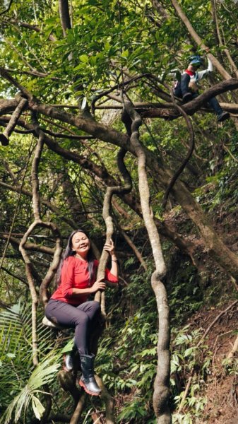 東勢大崙、東勢坑山、觀音湖山O走2986281