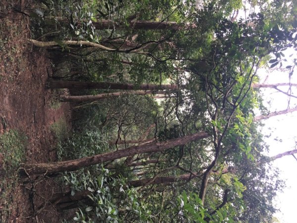 五酒桶山、南崁山2693314