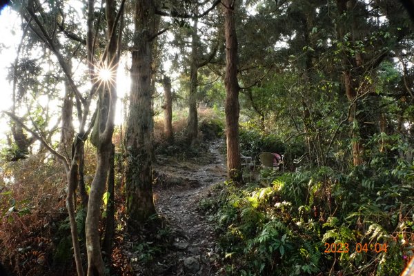 屏東 瑪家、泰武 真笠山、鱈葉根山、日湯真山2103045