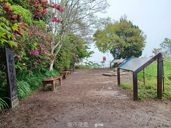 【苗栗大湖】山頂展望佳等到雲海。 馬那邦山登山步道2806814