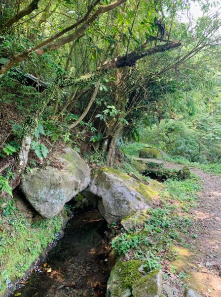 坪頂古圳親山步道1690079