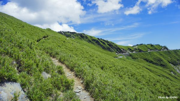 合歡主峰踏青趣151371