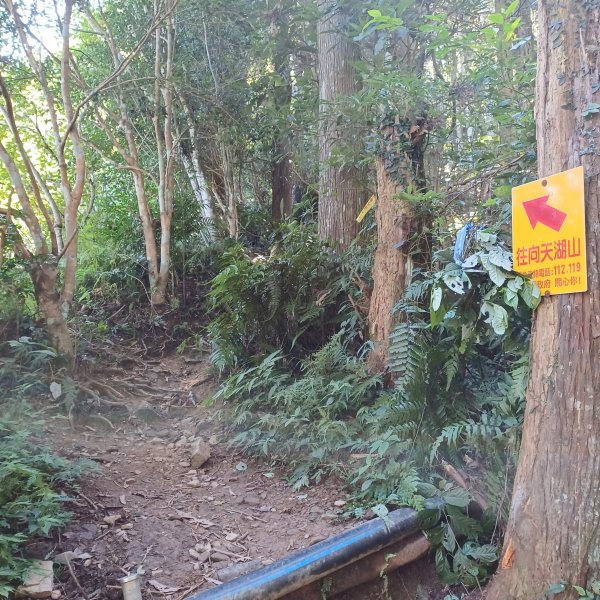 【苗栗南庄】向天湖山光天高山小O繞2933147